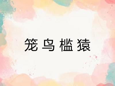 笼鸟槛猿