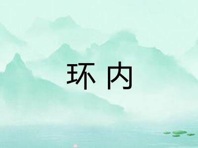 环内