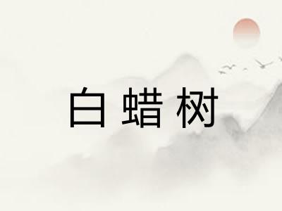 白蜡树