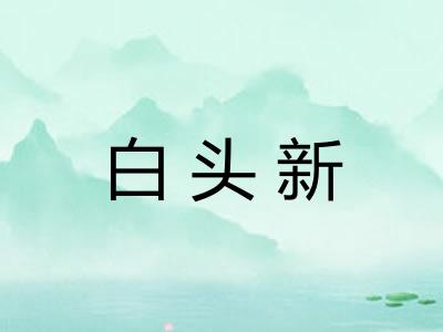 白头新