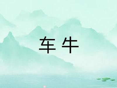 车牛