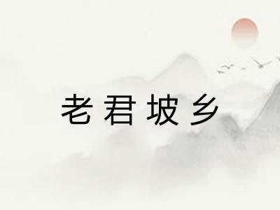 老君坡乡