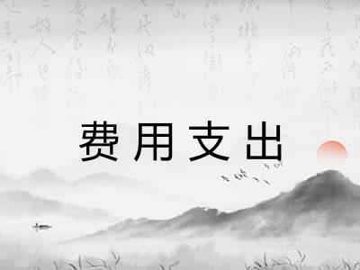 费用支出