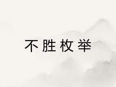 不胜枚举