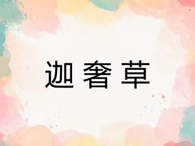 迦奢草