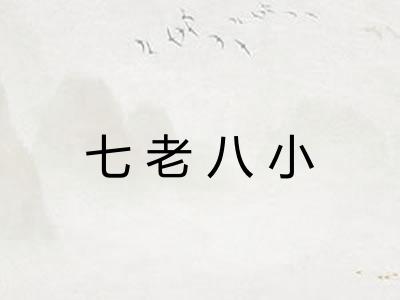 七老八小