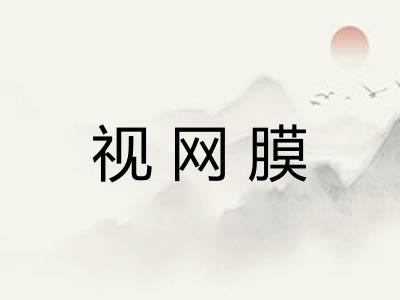 视网膜