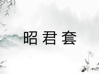 昭君套