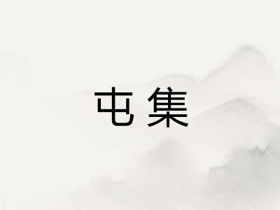 屯集