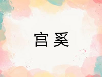 宫奚