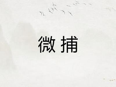 微捕