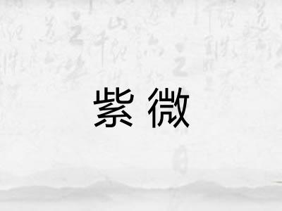 紫微