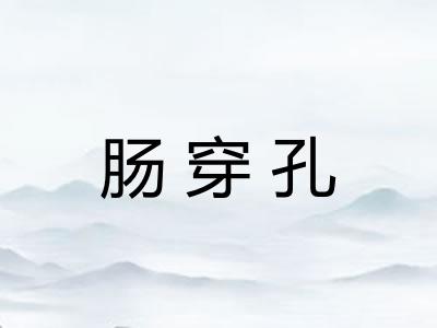 肠穿孔