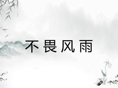 不畏风雨