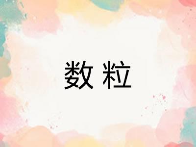 数粒