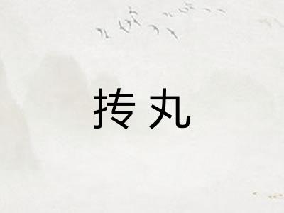 抟丸
