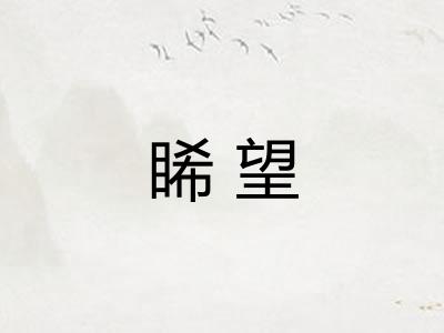 睎望