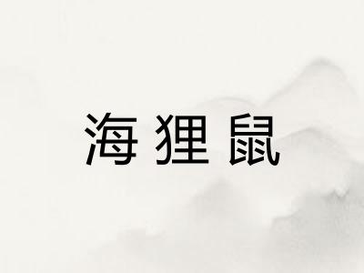 海狸鼠