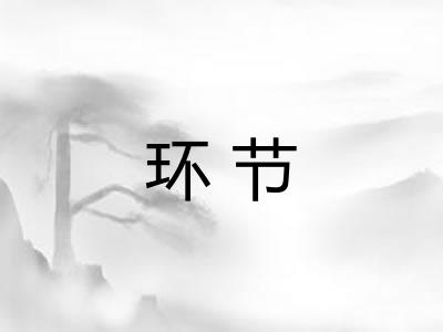 环节