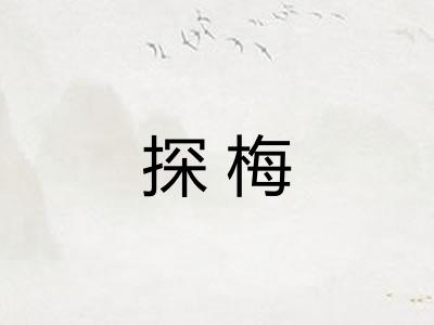 探梅