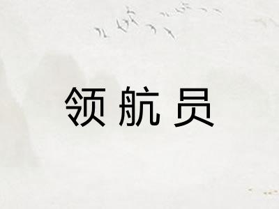 领航员