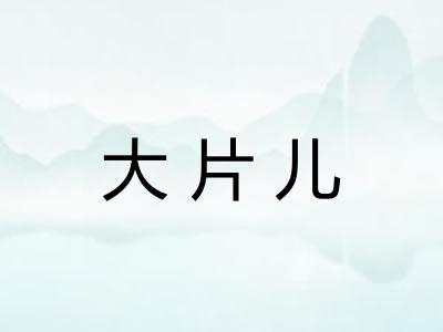 大片儿