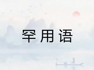 罕用语
