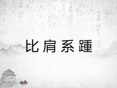 比肩系踵