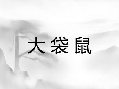 大袋鼠