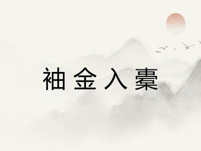 袖金入橐