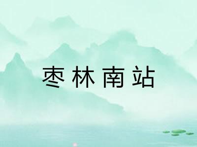 枣林南站