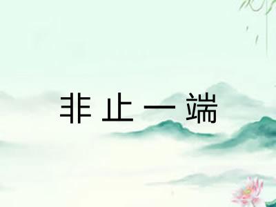 非止一端