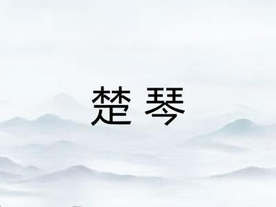 楚琴