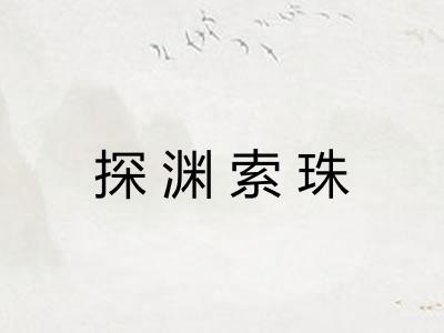 探渊索珠