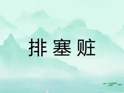 排塞赃