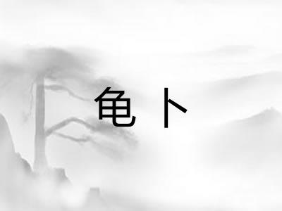 龟卜