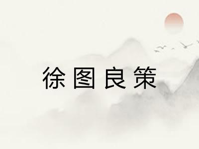 徐图良策