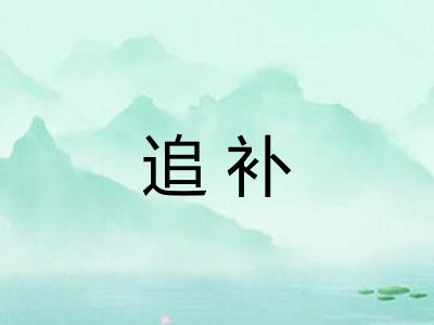 追补