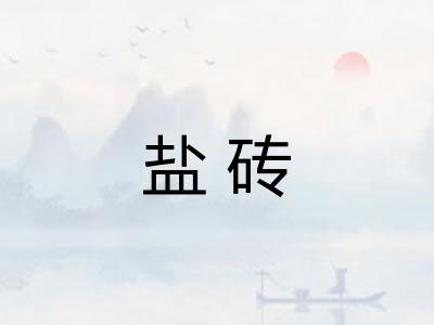 盐砖