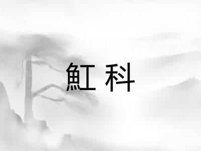魟科