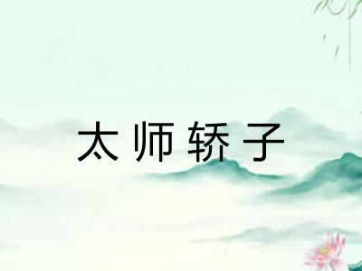 太师轿子