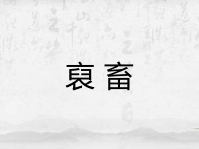 裒畜