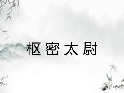 枢密太尉