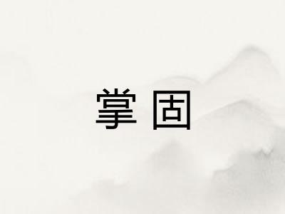 掌固