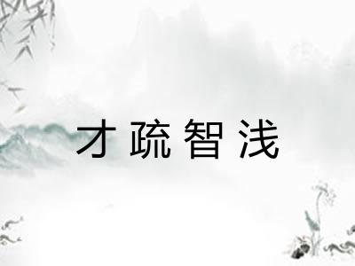 才疏智浅