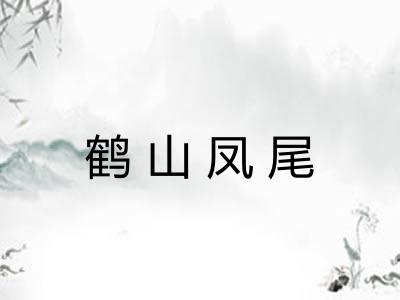 鹤山凤尾