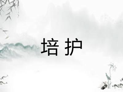 培护
