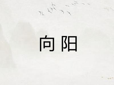向阳