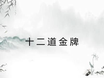 十二道金牌
