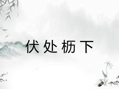 伏处枥下